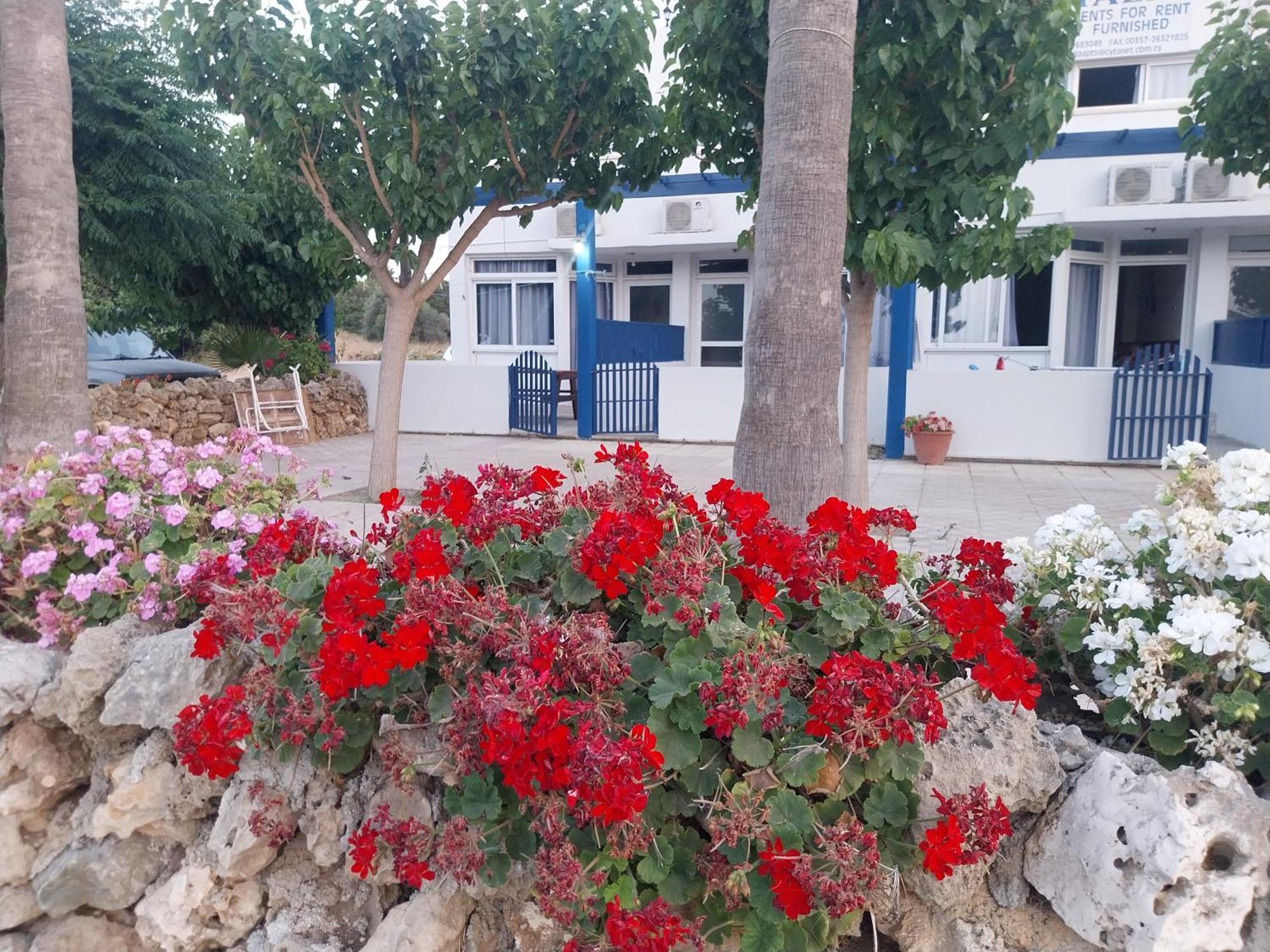 Amalia Apartments Polis Oda fotoğraf