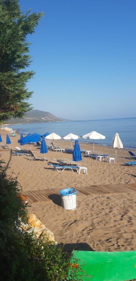 Amalia Apartments Polis Dış mekan fotoğraf