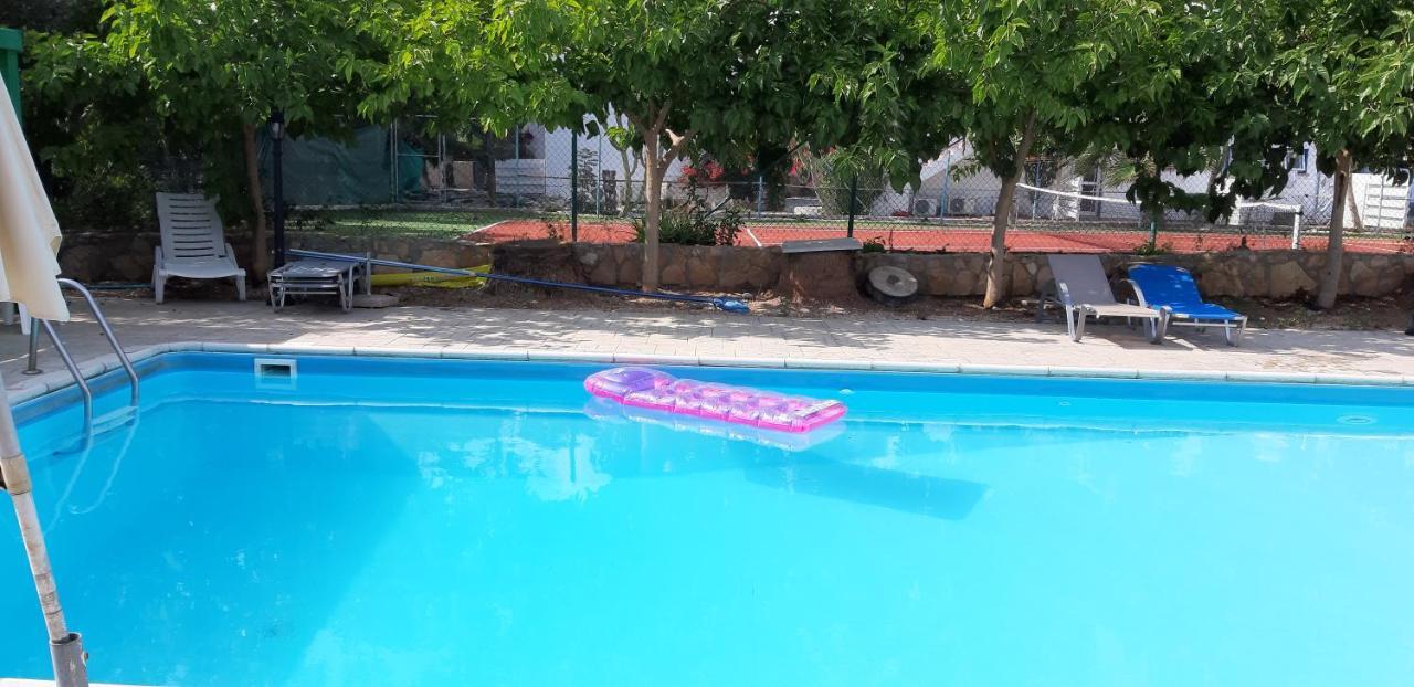 Amalia Apartments Polis Dış mekan fotoğraf
