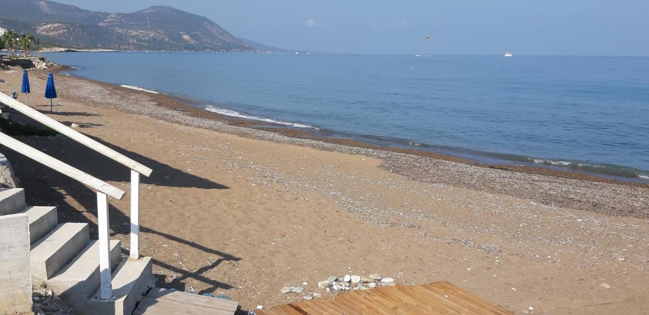 Amalia Apartments Polis Dış mekan fotoğraf