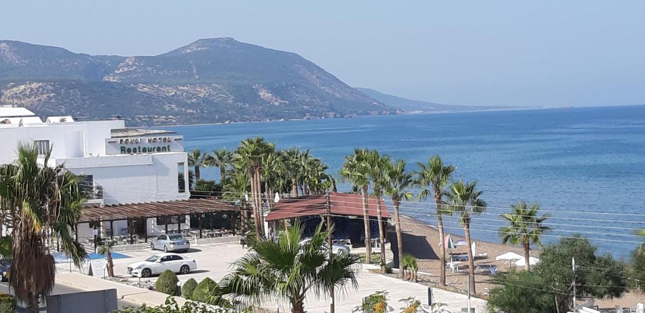 Amalia Apartments Polis Dış mekan fotoğraf